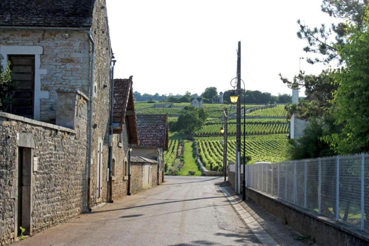 Le Lagon Bleu - Centre Ville - Maison Boucicaut - By Primo C0Nciergerie Chalon-sur-Saône Exteriör bild